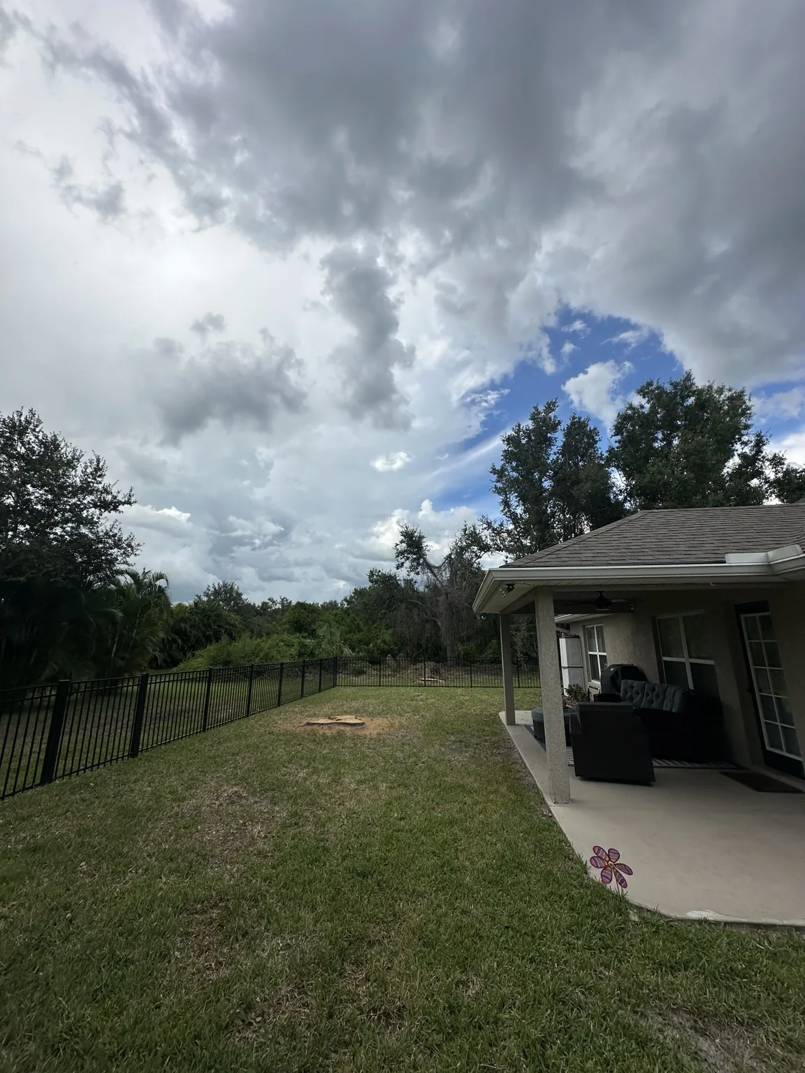 Backyard after oak removal