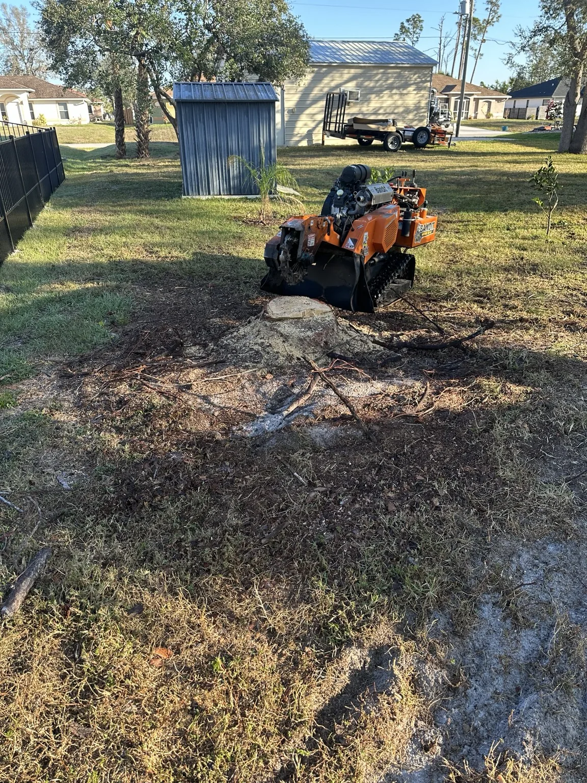 Stump grinding in progress