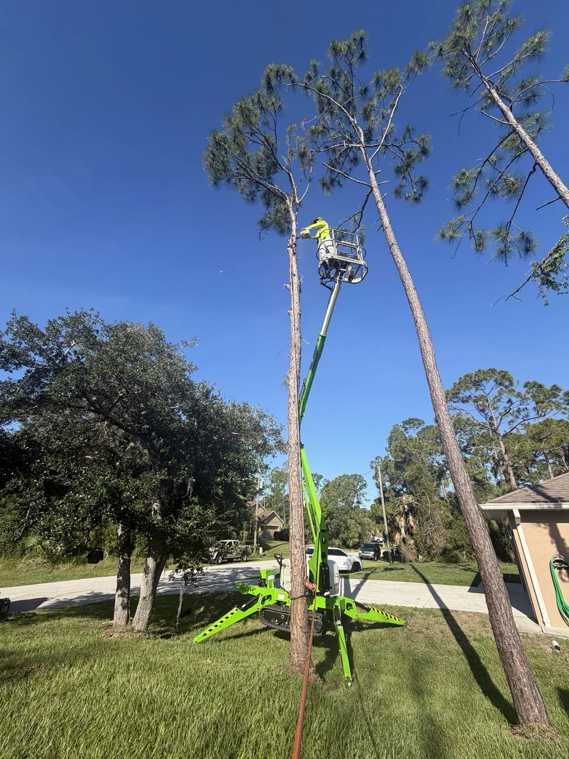 AJW Tree LLC field work and equipment