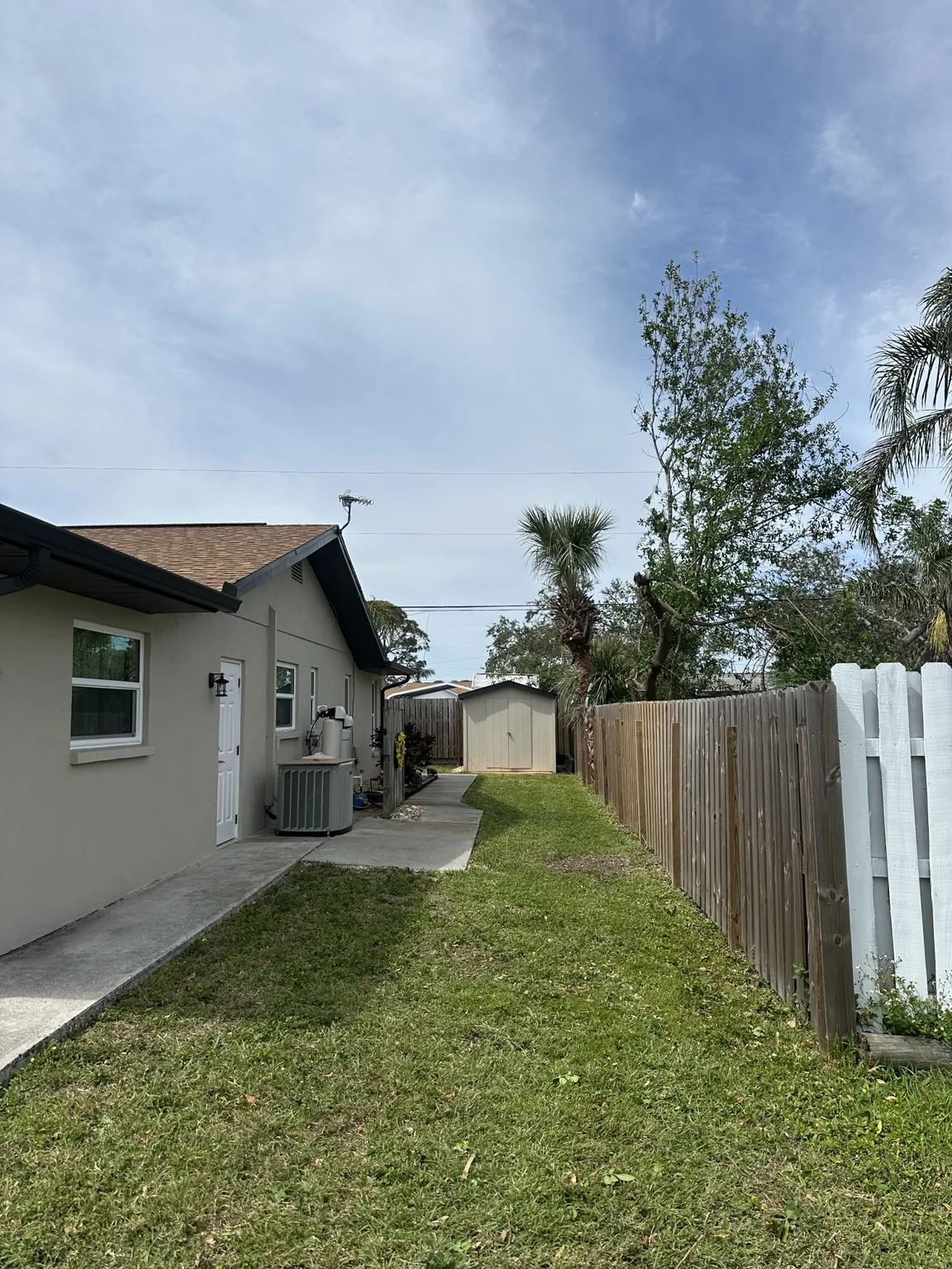 Side yard after removal