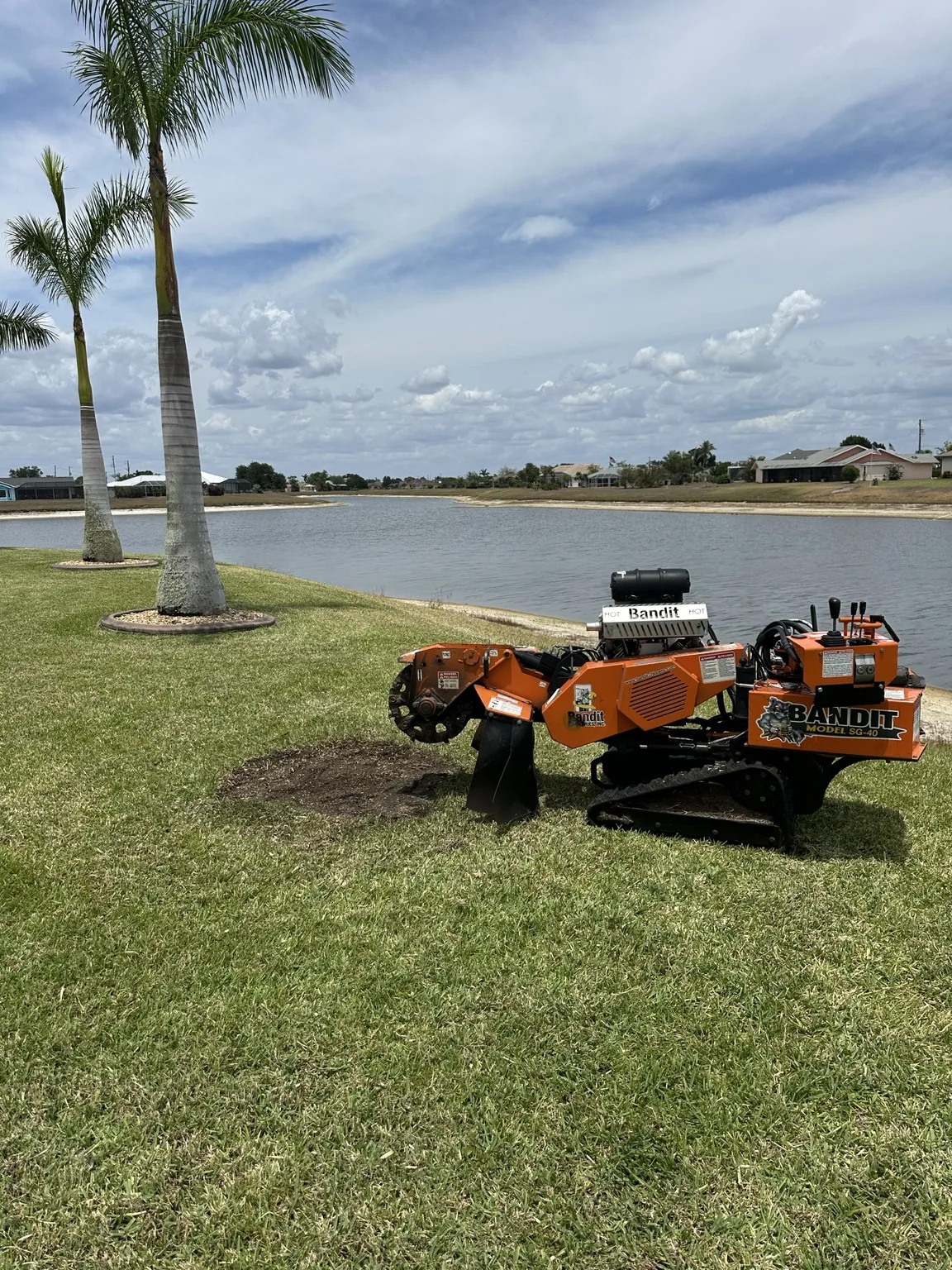 Stump Grinding by AJW Tree LLC
