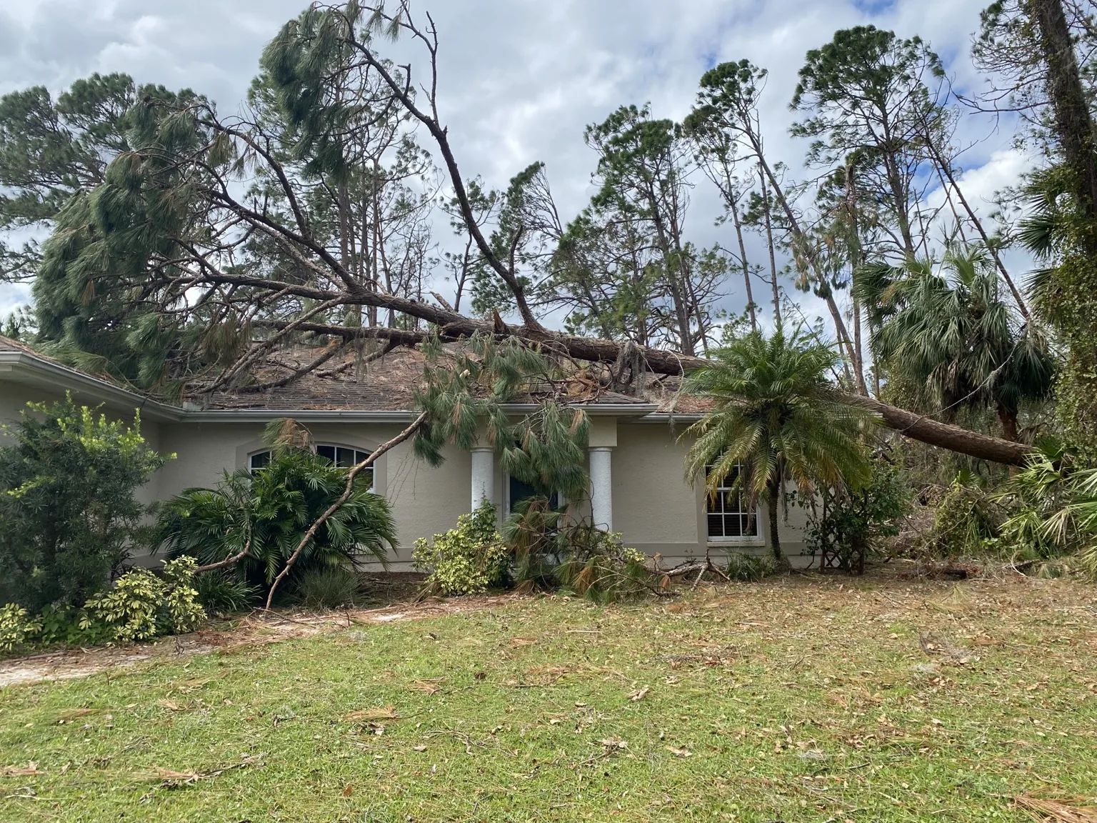 Storm Damage Tree Service by AJW Tree LLC