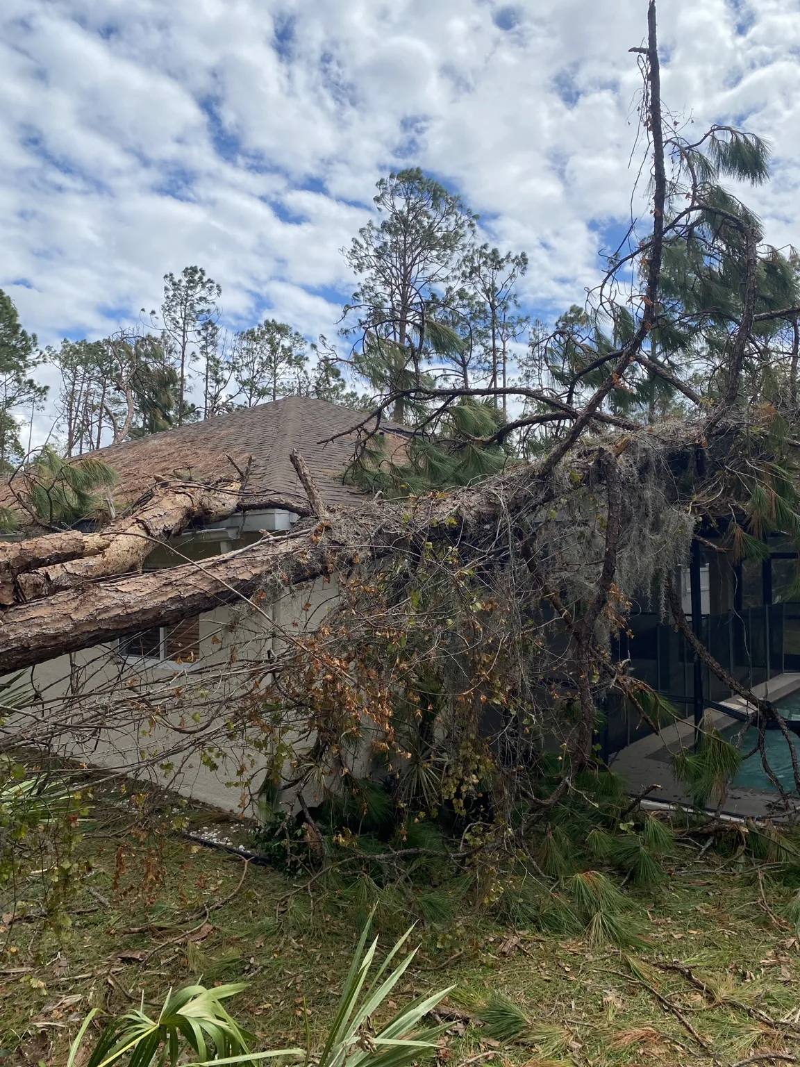Storm damage and tree debris