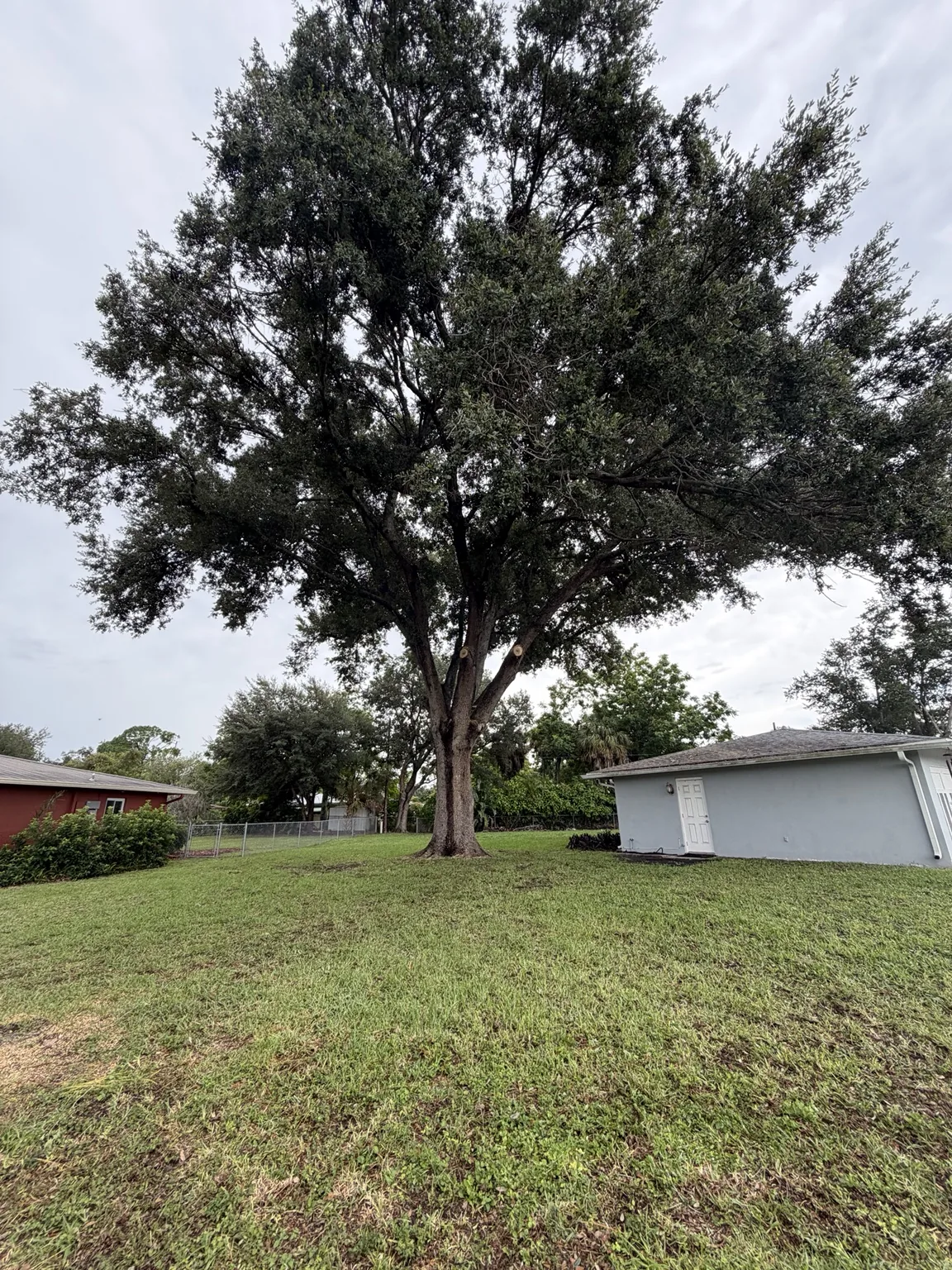 AJW Tree LLC field work and equipment