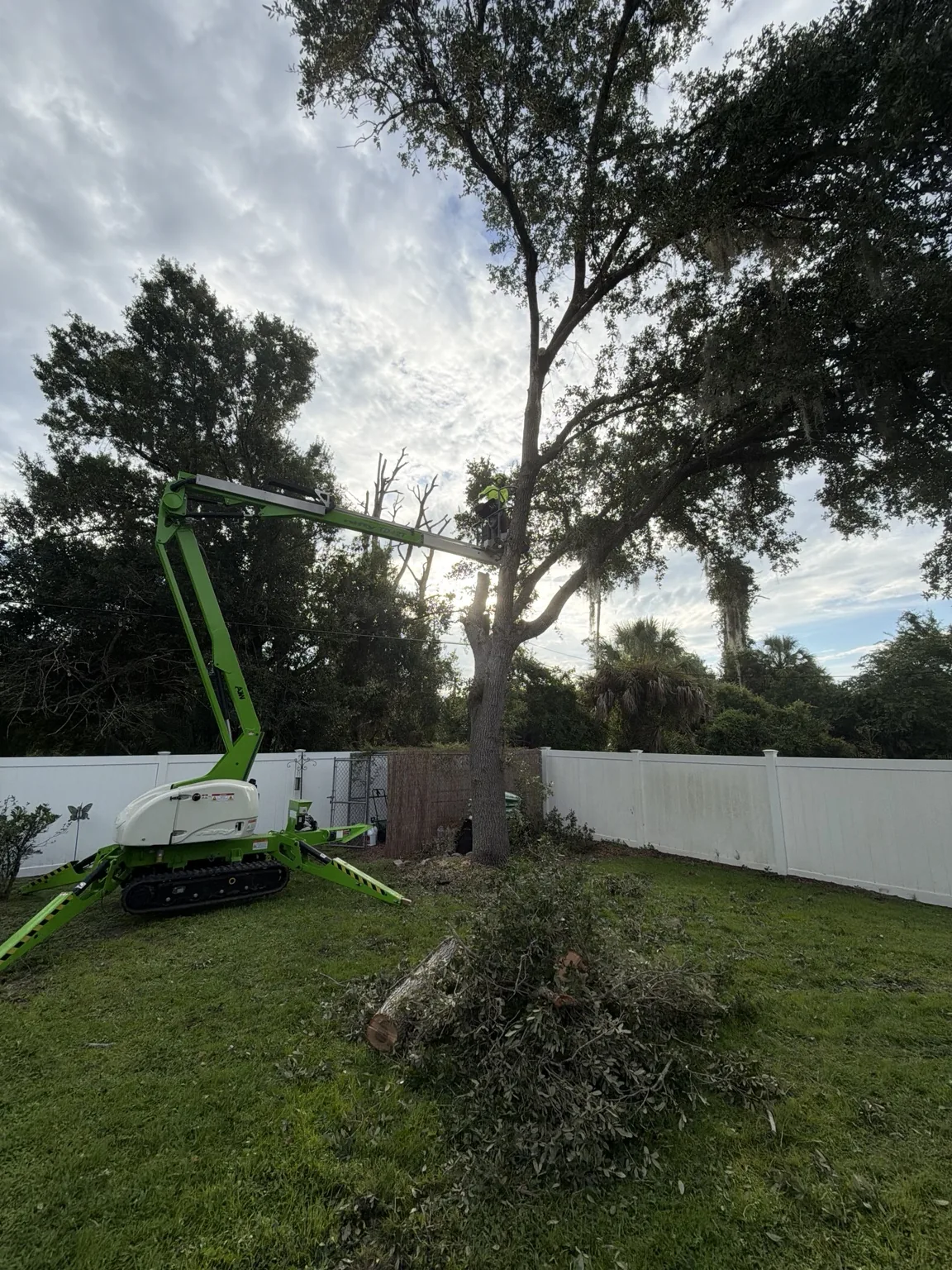 AJW Tree LLC field work and equipment